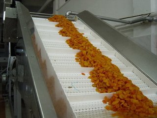 模块网九州体育（中国）股份有限九州体育（中国）股份有限公司
